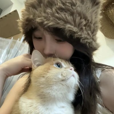 秩序信条