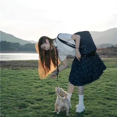 我的情敌女婿